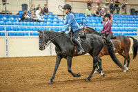 82 MORGAN HUNTER PLEASURE, STAKE