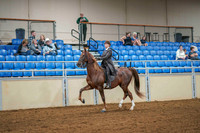 83 ALL BREED ENGLISH PLEASURE, LIMIT HORSE