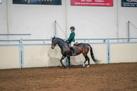 86 ACADEMY WALK & TROT/JOG, EQUITATION STAKE