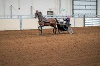 90 ALL BREED PLEASURE DRIVING, STAKE