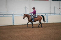 93 ALL BREED RANCH RAIL PLEASURE STAKE