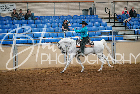 Aurora Show June 6, 2024  - 03794