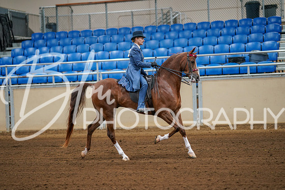 Aurora Show June 8, 2024  - 00382