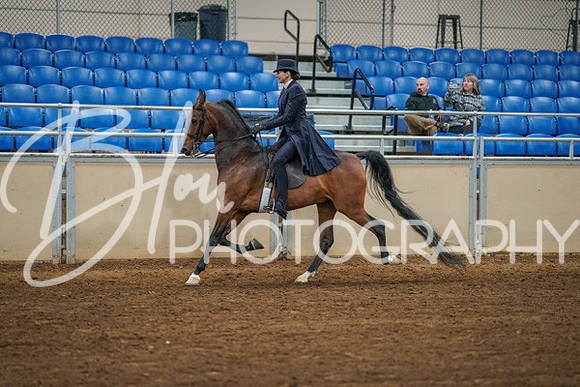 Aurora Show June 8, 2024  - 02511