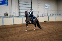 49 - All Breed Saddle Seat Equitation - 14-17 years
