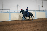 115 - CMHA Saddle Seat Equitation Medal 21 years &amp; under