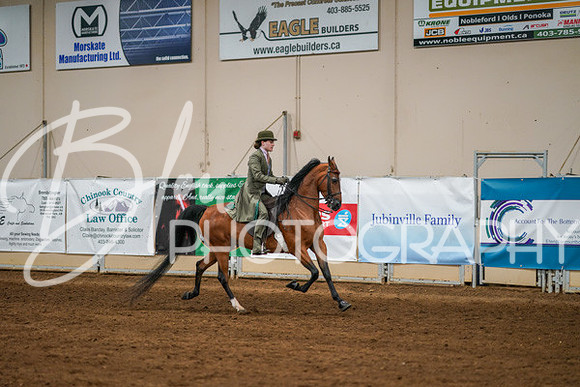 Aurora Show June 8, 2024  - 02575