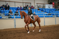 65 - All Breed Hunter Pleasure, Limit Rider