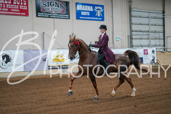 Aurora Show June 8, 2024  - 00739