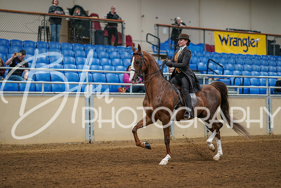 Aurora Show June 8, 2024  - 00638