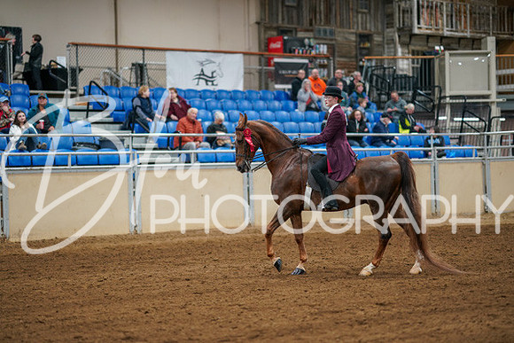 Aurora Show June 8, 2024  - 00720