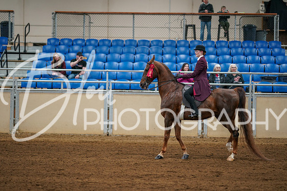 Aurora Show June 8, 2024  - 00727