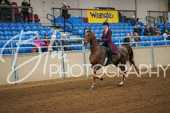 Aurora Show June 8, 2024  - 00607
