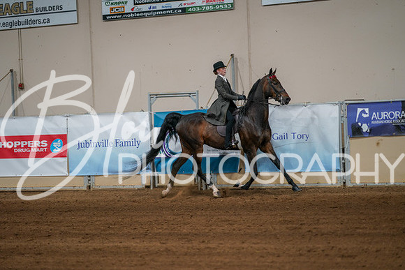 Aurora Show June 8, 2024  - 00674