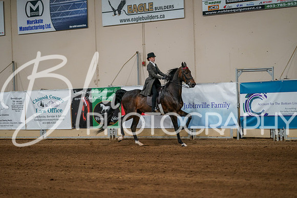 Aurora Show June 8, 2024  - 00672