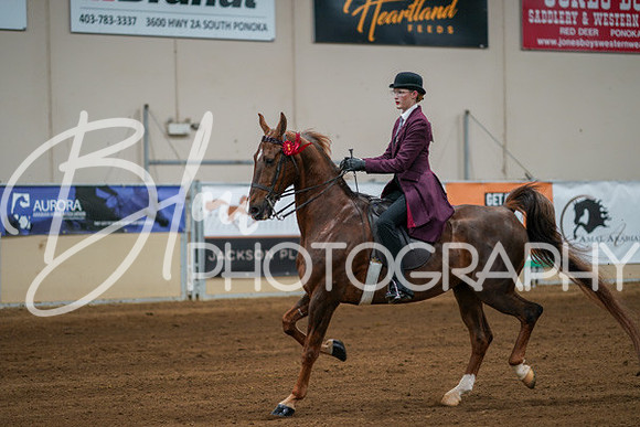 Aurora Show June 8, 2024  - 00742