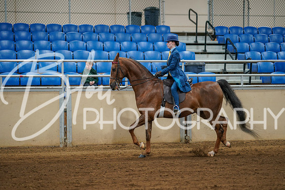Aurora Show June 8, 2024  - 00628