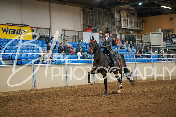 Aurora Show June 8, 2024  - 00629