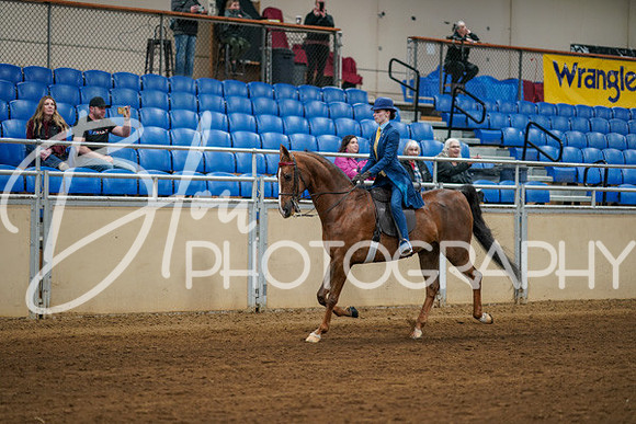 Aurora Show June 8, 2024  - 00622