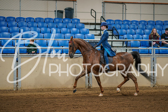 Aurora Show June 8, 2024  - 00627