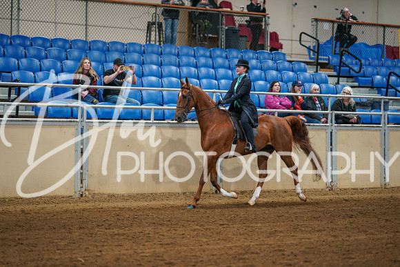 Aurora Show June 8, 2024  - 00615