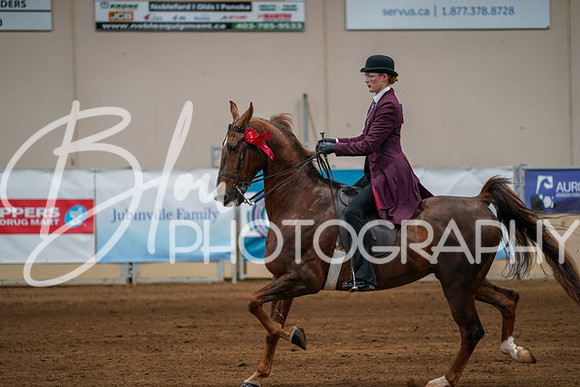 Aurora Show June 8, 2024  - 00745
