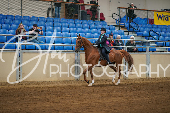 Aurora Show June 8, 2024  - 00614