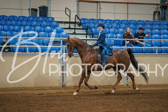Aurora Show June 8, 2024  - 00626