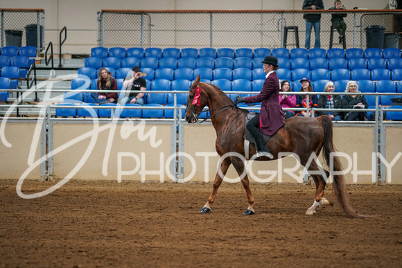 Aurora Show June 8, 2024  - 00729