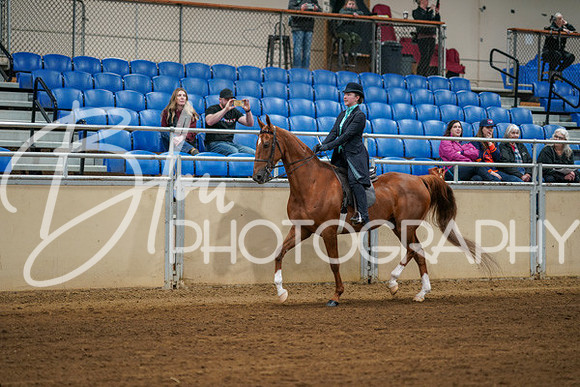 Aurora Show June 8, 2024  - 00616