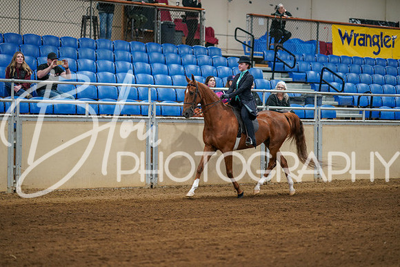 Aurora Show June 8, 2024  - 00613