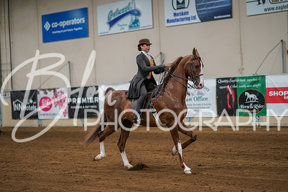 Aurora Show June 8, 2024  - 00667