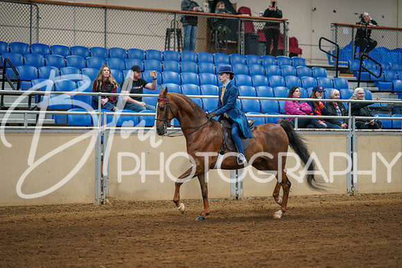 Aurora Show June 8, 2024  - 00624