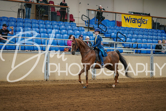 Aurora Show June 8, 2024  - 00621