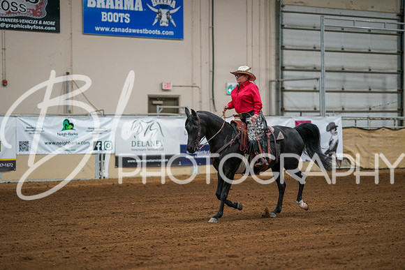 Aurora Show June 8, 2024  - 00761
