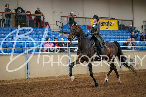 Aurora Show June 8, 2024  - 00634