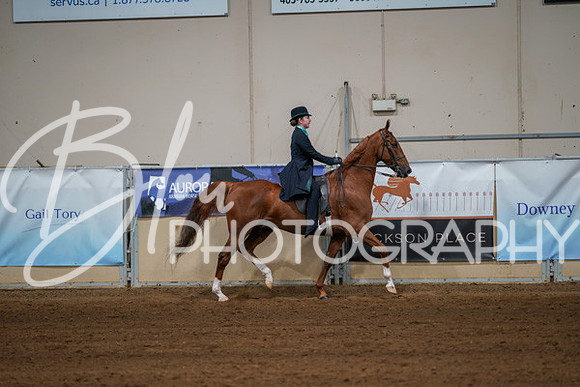 Aurora Show June 8, 2024  - 00685