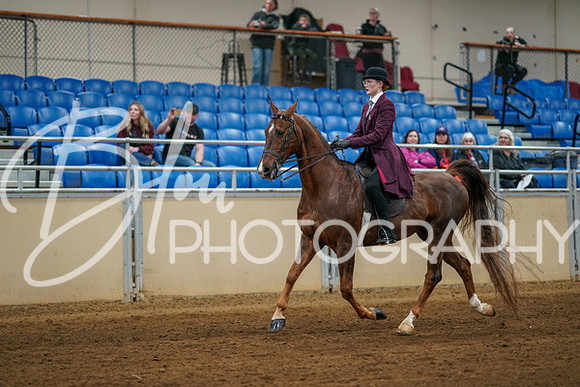 Aurora Show June 8, 2024  - 00645