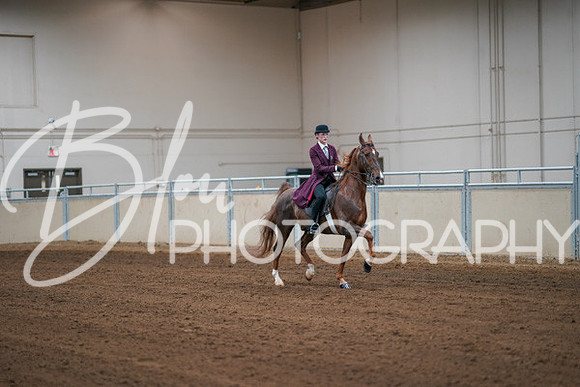 Aurora Show June 8, 2024  - 00710