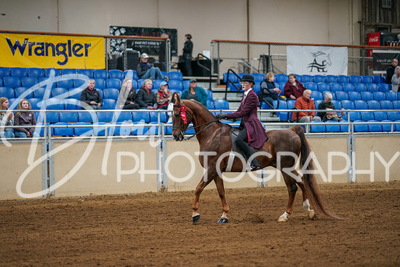 Aurora Show June 8, 2024  - 00724