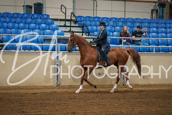 Aurora Show June 8, 2024  - 00618