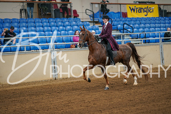 Aurora Show June 8, 2024  - 00609