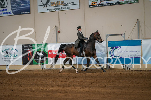 Aurora Show June 8, 2024  - 00673