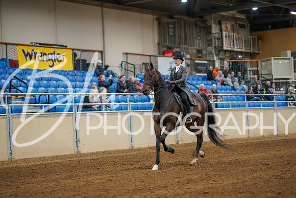 Aurora Show June 8, 2024  - 00630