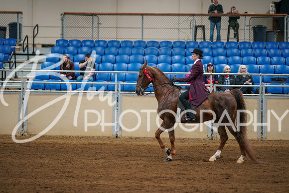 Aurora Show June 8, 2024  - 00728