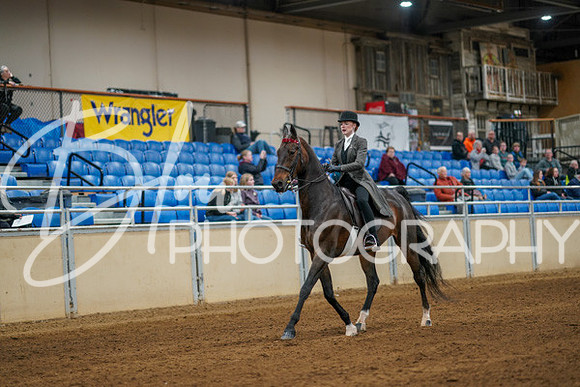 Aurora Show June 8, 2024  - 00631