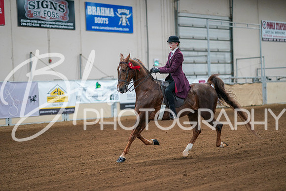 Aurora Show June 8, 2024  - 00738