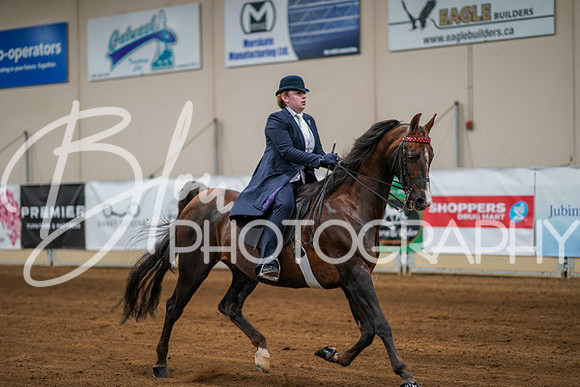 Aurora Show June 8, 2024  - 00650