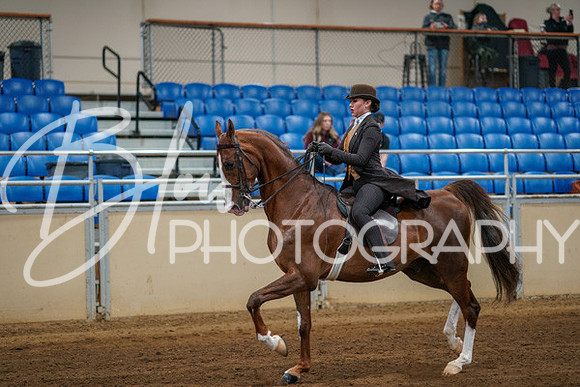 Aurora Show June 8, 2024  - 00605