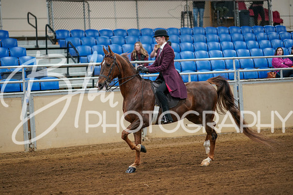 Aurora Show June 8, 2024  - 00611